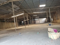 Xưởng Cho Thuê Ở Khu Vực Bình Dương Diện Tích 1400m2