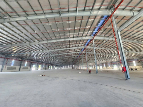 Cho Thuê Nhà Xưởng trong KCN Long An 19.200m2