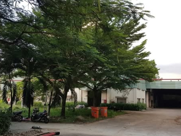 BÁN XƯỞNG gần 13.000m2 - Bến Cát, Bình Dương