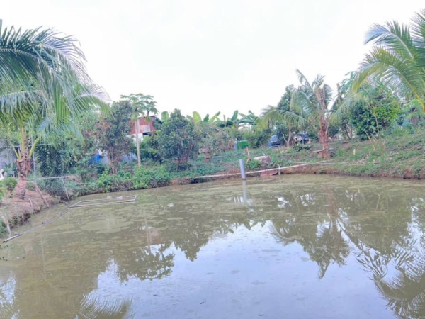 Đất bán phường Thạnh Hội _ Tân Uyên _Bình Dương 2.517m2